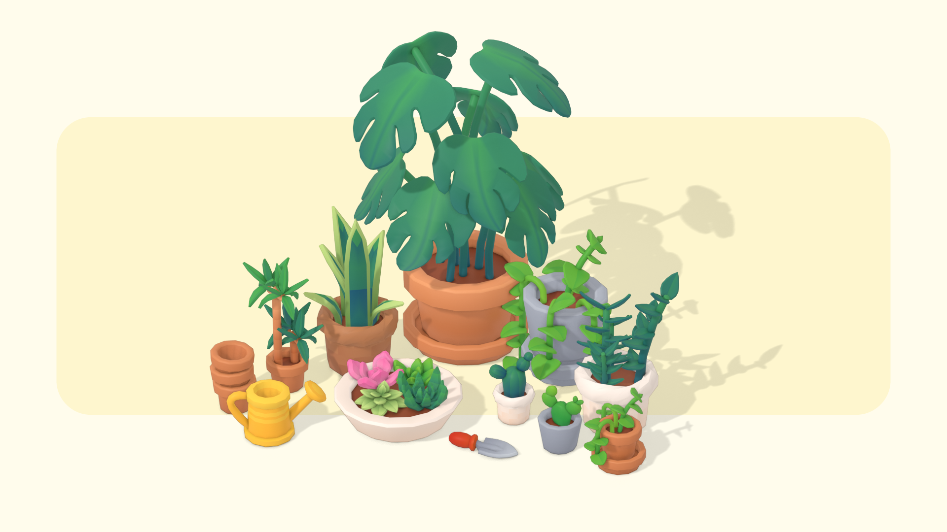 House Plants